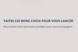 Conseils choix juridique, fiscal et social Cabinet Levaique